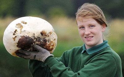 Гриб, найденный в Великобритании в 2011 году