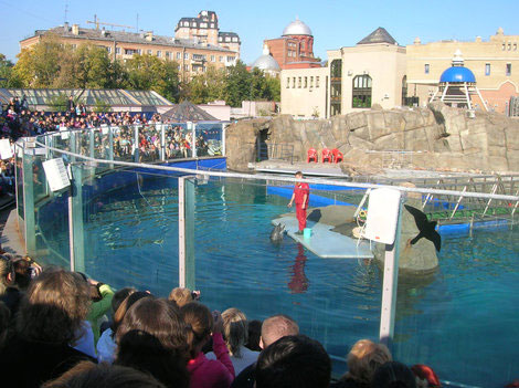 Дельфинарий в Московском зоопарке