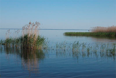 Чудско – Псковское озеро