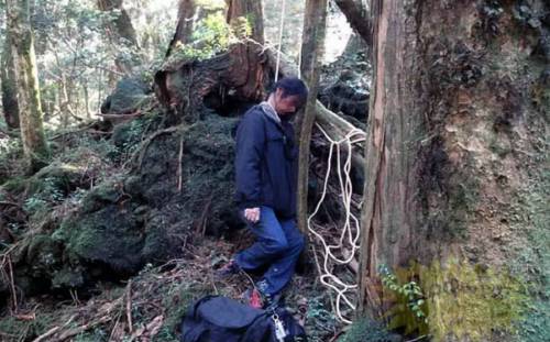 Лес самоубийц близ Токио
