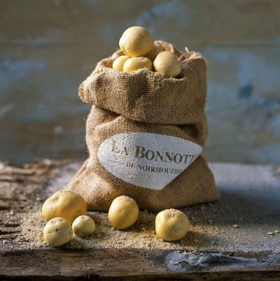 Картофель La Bonnotte