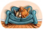 Собака и кот на диване