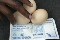 яйца и деньги