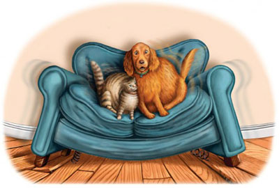Собака и кот на диване